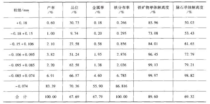 對各級別粒度進(jìn)行鏡下觀察分析